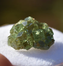 Load image into Gallery viewer, Demantoid Garnet Cluster Specimen - Madagascar - Perfect for Collection or Jewelry - 3.57 grams
