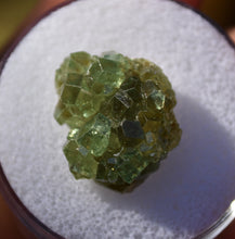Load image into Gallery viewer, Demantoid Garnet Cluster Specimen - Madagascar - Perfect for Collection or Jewelry - 3.57 grams
