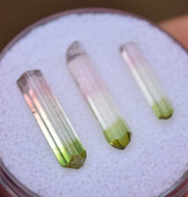 Load image into Gallery viewer, Matching Green-Tip Tourmaline Crystals (3) from Rubaya, DRC - Tricolor Gem Crystals - 5 ctw.
