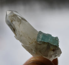Load image into Gallery viewer, Vanadium Emerld on Quartz Crystals - Bicolor Emerald - Great Quality - 9.9 Grams
