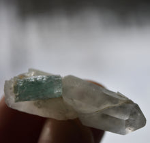 Load image into Gallery viewer, Vanadium Emerld on Quartz Crystals - Bicolor Emerald - Great Quality - 9.9 Grams
