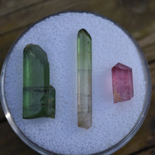 Load image into Gallery viewer, Aricanga Mine Tourmaline Crystals - Set of Three - 1.8 Grams total
