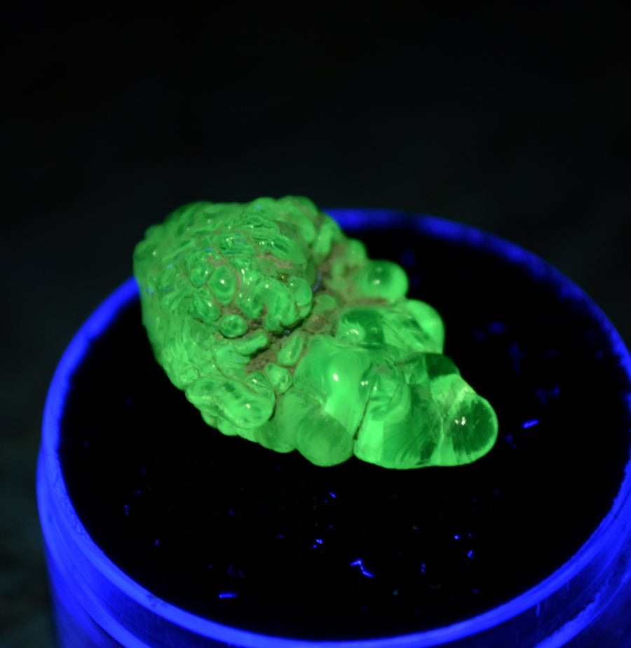 Incredible Hyalite Opal Specimen - 100% gem Quality Botryoidal Crystal- GLOWS Neon Green Under Blacklight