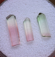 Load image into Gallery viewer, Set of Three Bright Pastel Tourmaline Crystals from Rubaya, DRC - Eye Clean + Terminated 4.17 ctw.
