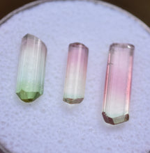 Load image into Gallery viewer, Set of Three Bright Pastel Tourmaline Crystals from Rubaya, DRC - Eye Clean + Terminated 4.17 ctw.
