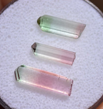 Load image into Gallery viewer, Set of Three Bright Pastel Tourmaline Crystals from Rubaya, DRC - Eye Clean + Terminated 4.17 ctw.
