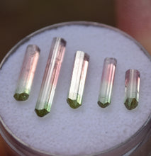 Load image into Gallery viewer, Set of 5 Matching Tourmaline Crystals from Rubaya Mine, DRC - 1.18 Grams - Eye Clean + Terminated
