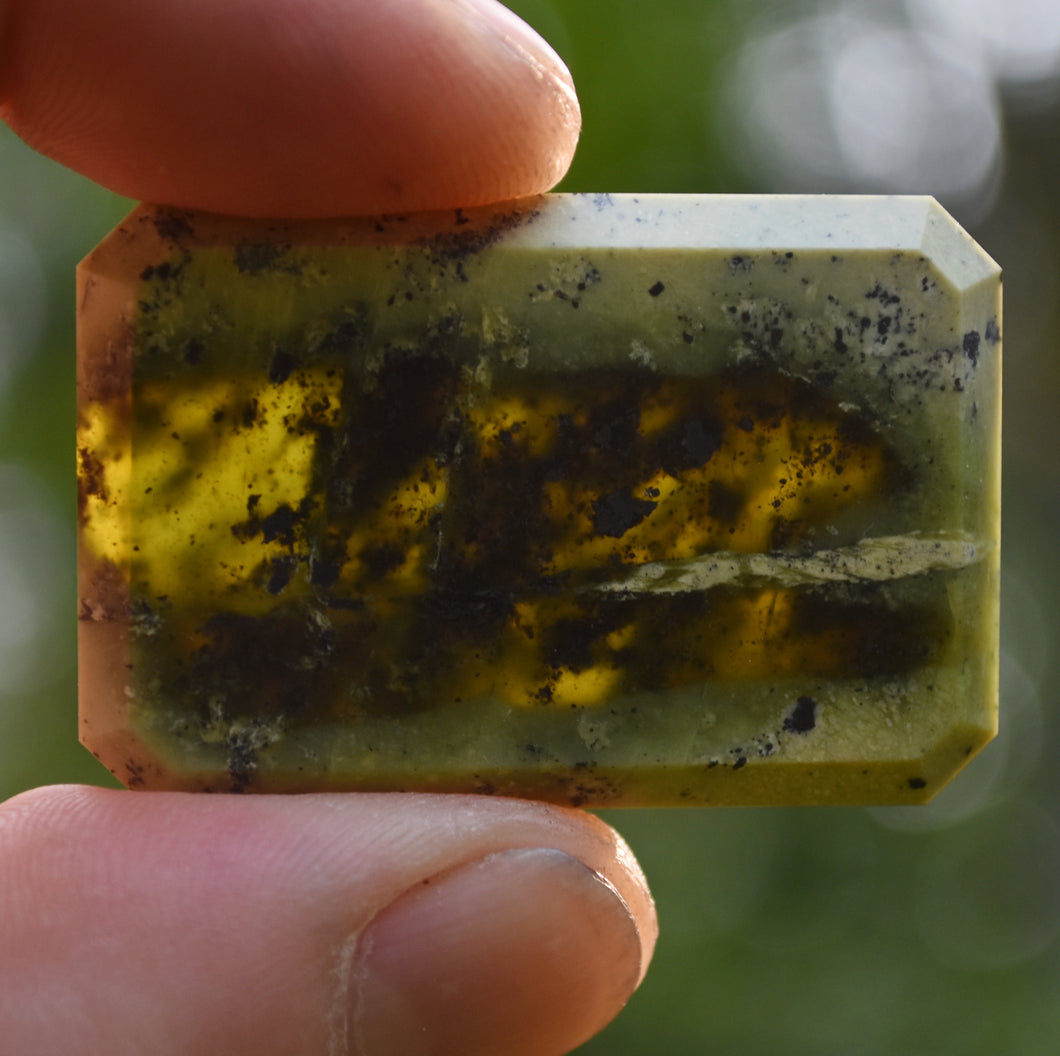 Vermont Serpentine - Intensely Vivid Green 'Gel' Portrait Gem - Made by Scott Maier - 16+ Grams