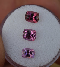 Load image into Gallery viewer, NEW FIND (2024) Tanga Garnet Tapered Color Trio - Exceptional Colors and Brightness - 2.91 ct.
