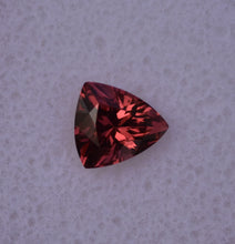 Load image into Gallery viewer, 2024 Tanga Rhodolite Garnet - Bright Cheerful Orangey-Red Shield Shape - 1.2 ct.
