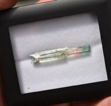 Load image into Gallery viewer, Museum Quality Tourmaline Scepter Crystal - Supurlative Aesthetics - Barra de Salinas - Brazil - 1.91 Grams
