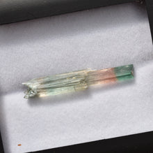 Load image into Gallery viewer, Museum Quality Tourmaline Scepter Crystal - Supurlative Aesthetics - Barra de Salinas - Brazil - 1.91 Grams
