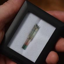 Load image into Gallery viewer, Museum Quality Tourmaline Scepter Crystal - Supurlative Aesthetics - Barra de Salinas - Brazil - 1.91 Grams
