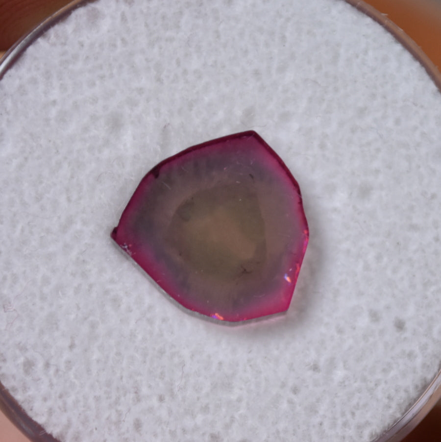 Amazing Reverse-Watermelon Tourmaline Slice - Good Thickness and SUPER Gemmy! - 5.77 ct.