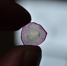 Load image into Gallery viewer, Amazing Reverse-Watermelon Tourmaline Slice - Good Thickness and SUPER Gemmy! - 5.77 ct.
