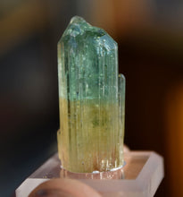 Load image into Gallery viewer, Tri-Color Tourmaline - Pink, Yellow, Green - Rubaya Mine, DRC - 8.95 grams
