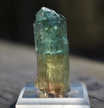 Load image into Gallery viewer, Tri-Color Tourmaline - Pink, Yellow, Green - Rubaya Mine, DRC - 8.95 grams
