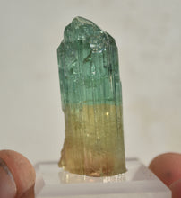 Load image into Gallery viewer, Tri-Color Tourmaline - Pink, Yellow, Green - Rubaya Mine, DRC - 8.95 grams
