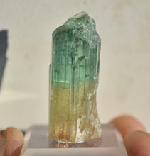 Load image into Gallery viewer, Tri-Color Tourmaline - Pink, Yellow, Green - Rubaya Mine, DRC - 8.95 grams
