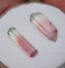 Load image into Gallery viewer, CLASSIC Watermelon Colored Tourmalines (2) - EXTRA Juicy - 4.865 ctw. - Rubaya Mine, DRC
