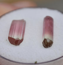 Load image into Gallery viewer, CLASSIC Watermelon Colored Tourmalines (2) - EXTRA Juicy - 4.865 ctw. - Rubaya Mine, DRC
