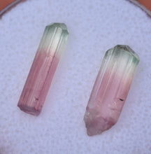 Load image into Gallery viewer, CLASSIC Watermelon Colored Tourmalines (2) - EXTRA Juicy - 4.865 ctw. - Rubaya Mine, DRC
