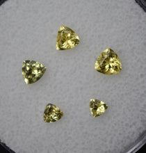 Load image into Gallery viewer, Brilliant Trilliant Sapphire Gems Set (5) - 1.285 ctw.
