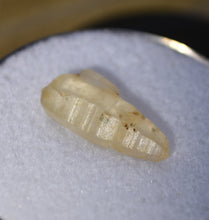 Load image into Gallery viewer, Yellow Sapphire Crystal - Double Terminated Alluvial Gem with Sidecar - Ratnapura, Sri Lanka - 5.27 ct.
