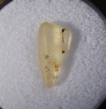 Load image into Gallery viewer, Yellow Sapphire Crystal - Double Terminated Alluvial Gem with Sidecar - Ratnapura, Sri Lanka - 5.27 ct.
