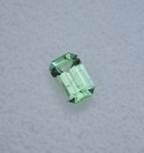 Load image into Gallery viewer, Bright Vanadium Kornerupine - Traditional Emerald Cut - 0.8 ct.
