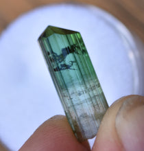 Load image into Gallery viewer, Barra Do Salinas Tourmaline Crystal - Perfect &#39;Drillbit&#39; Termination - Watermelon and Green 2.52 grams
