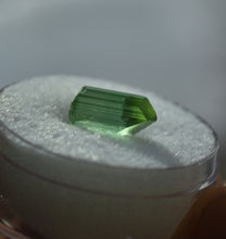 Load image into Gallery viewer, Striking Green Tourmaline Crystal
