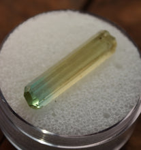 Load image into Gallery viewer, Bi-Color Tourmaline - Spring Blue + Canary Yellow - 1.64 grams
