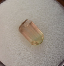 Load image into Gallery viewer, Cute Bi-Color Tourmaline - Sweet and Sour
