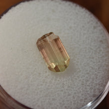 Load image into Gallery viewer, Cute Bi-Color Tourmaline - Sweet and Sour
