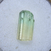 Load image into Gallery viewer, Glorious Bi-Color Seafoam Blue-Green and Yellow Tourmaline Crystal / Facet Rough - 7.03 ct.
