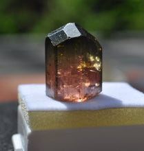 Load image into Gallery viewer, Bicolor Tourmaline - Classic Jos Plateau Crystal - 7.85 grams
