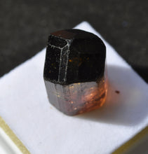 Load image into Gallery viewer, Bicolor Tourmaline - Classic Jos Plateau Crystal - 7.85 grams
