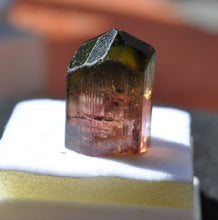 Load image into Gallery viewer, Bicolor Tourmaline - Classic Jos Plateau Crystal - 7.85 grams
