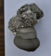 Load image into Gallery viewer, Fantastic Multi-Habit Pyrite Concretion - Port Au Port, Newfoundland, Canada - TOP Quality Miniature / Cabinet Specimen
