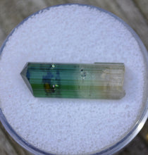 Load image into Gallery viewer, Barra Do Salinas Tourmaline Crystal - Perfect &#39;Drillbit&#39; Termination - Watermelon and Green 2.52 grams
