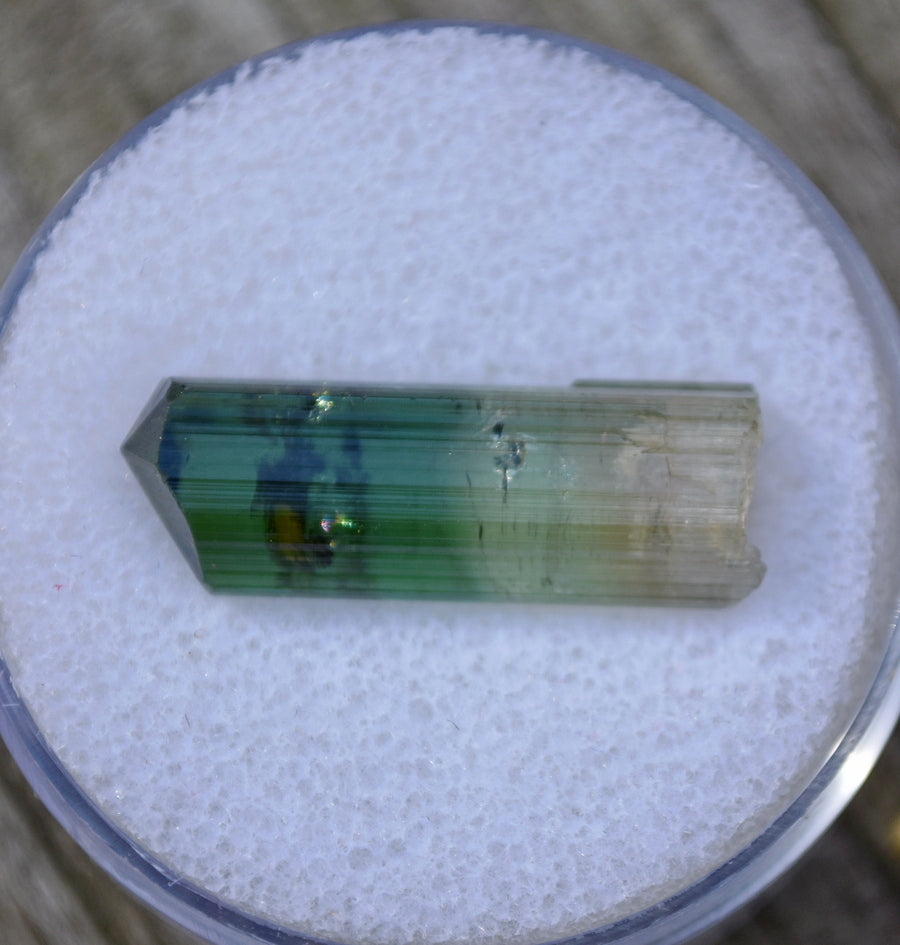 Barra Do Salinas Tourmaline Crystal - Perfect 'Drillbit' Termination - Watermelon and Green 2.52 grams