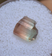 Load image into Gallery viewer, Watermelon Tourmaline Crystal / Facet Rough - Eye Clean  -  3.38 ct.
